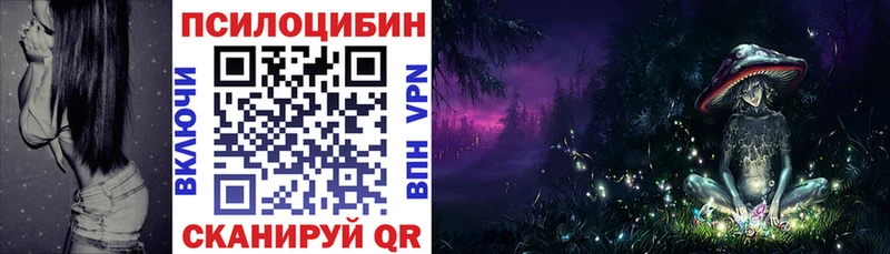 Галлюциногенные грибы Psilocybine cubensis  Купить где  Циолковский 